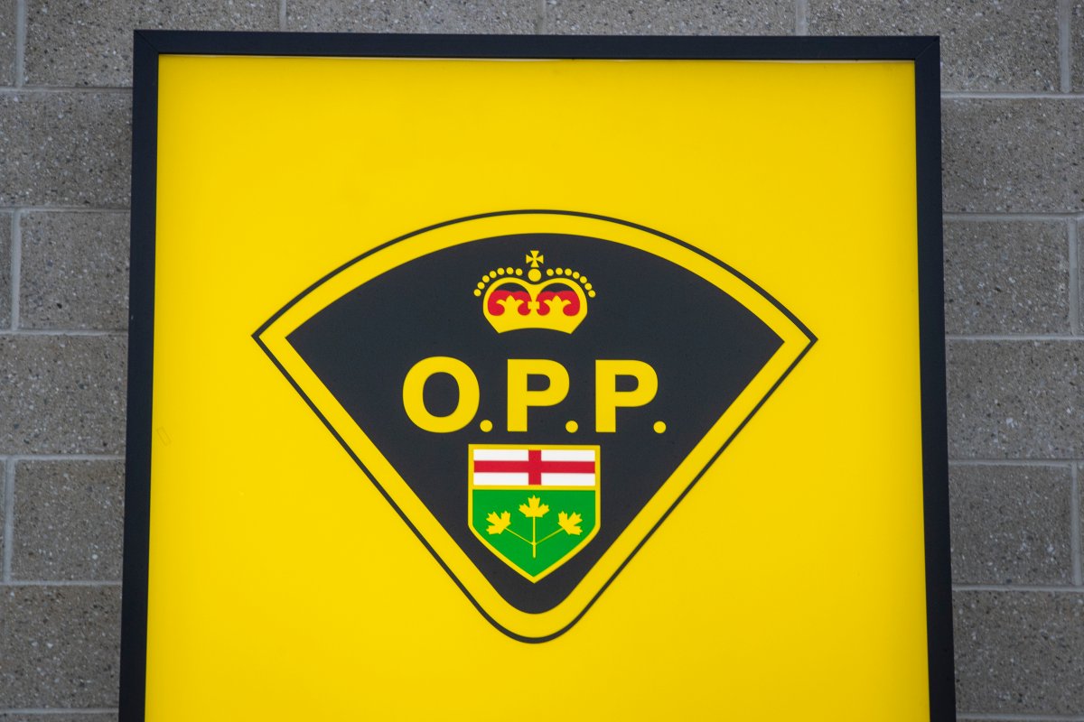 Owner charged after dogs living without food, water: Quinte West OPP - image