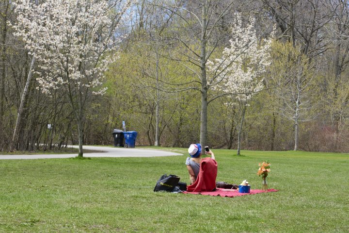A person having a picnic uses their cellphone on a sunny spring afternoon at High Park in Toronto, Ont., on May 1, 2021.