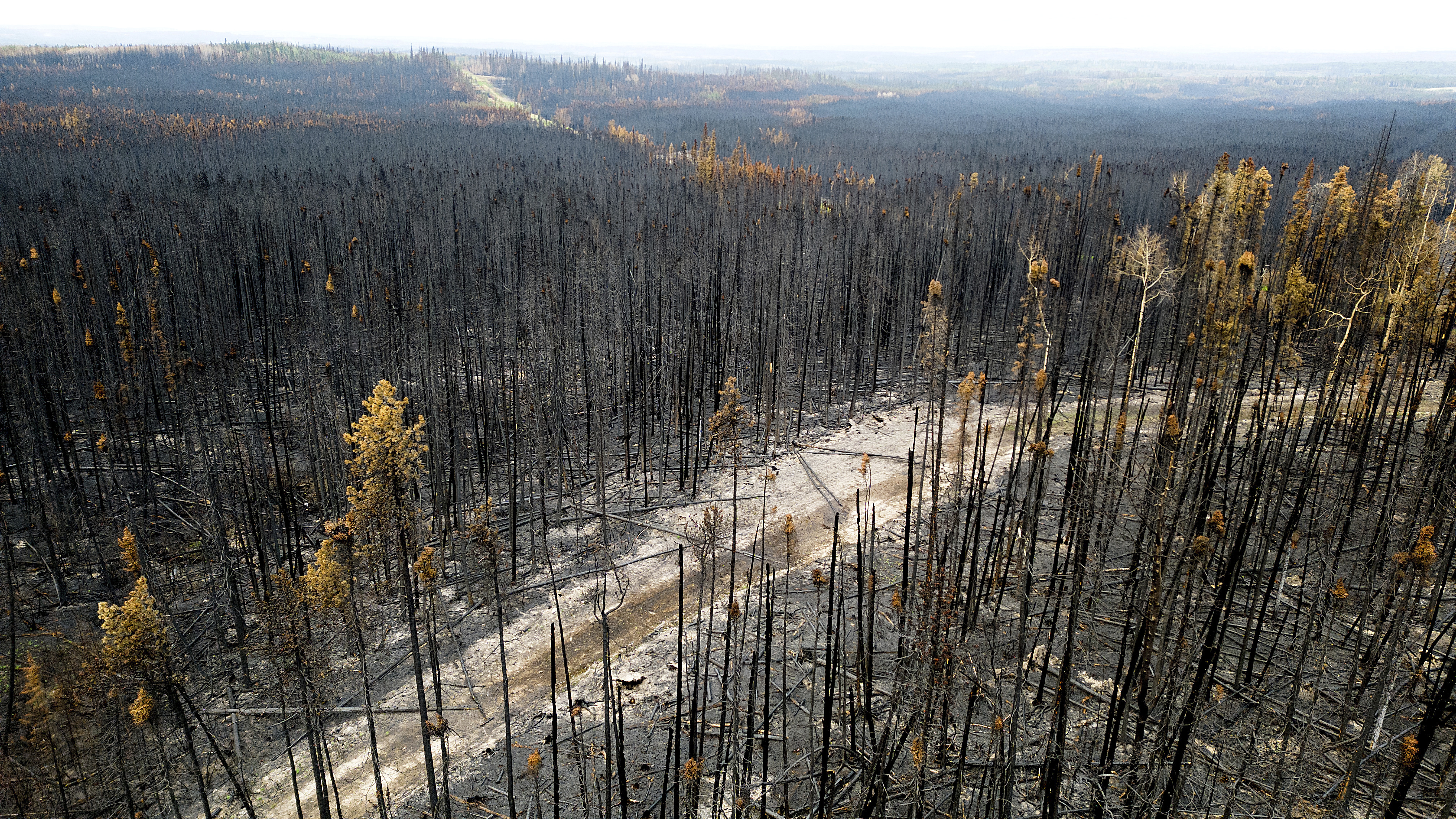 Military Deploy To Help Fight B.C. Wildfires As Thousands Under ...