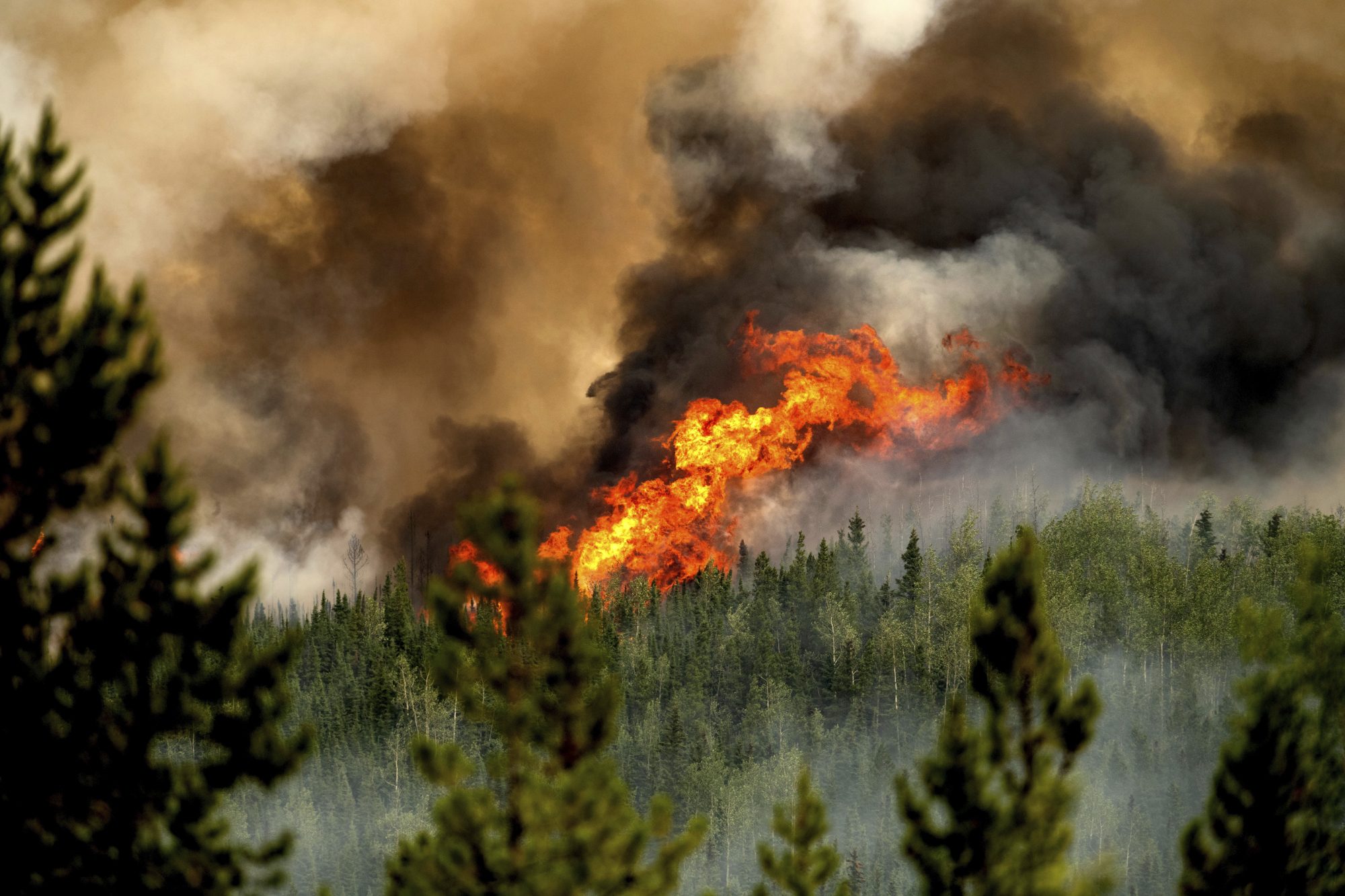 Canadian military to help B.C. wildfire fight as federal assistance approved  | 24CA News