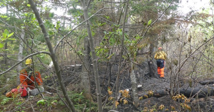 Quebec wildfires: Canadian Rangers to help evacuate Cree communities  | Globalnews.ca