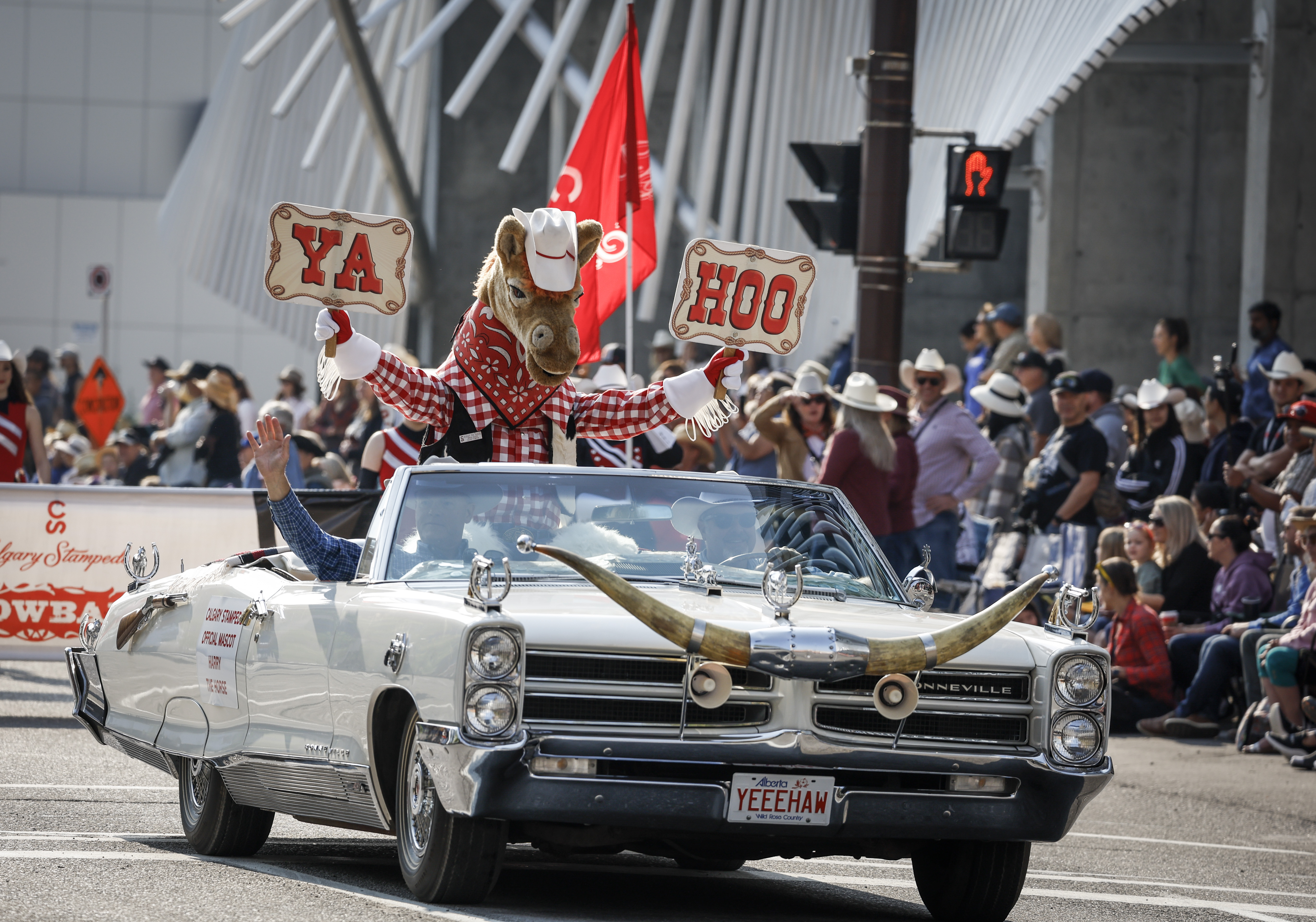 Calgary Stampede: What to know ahead of Parade Day