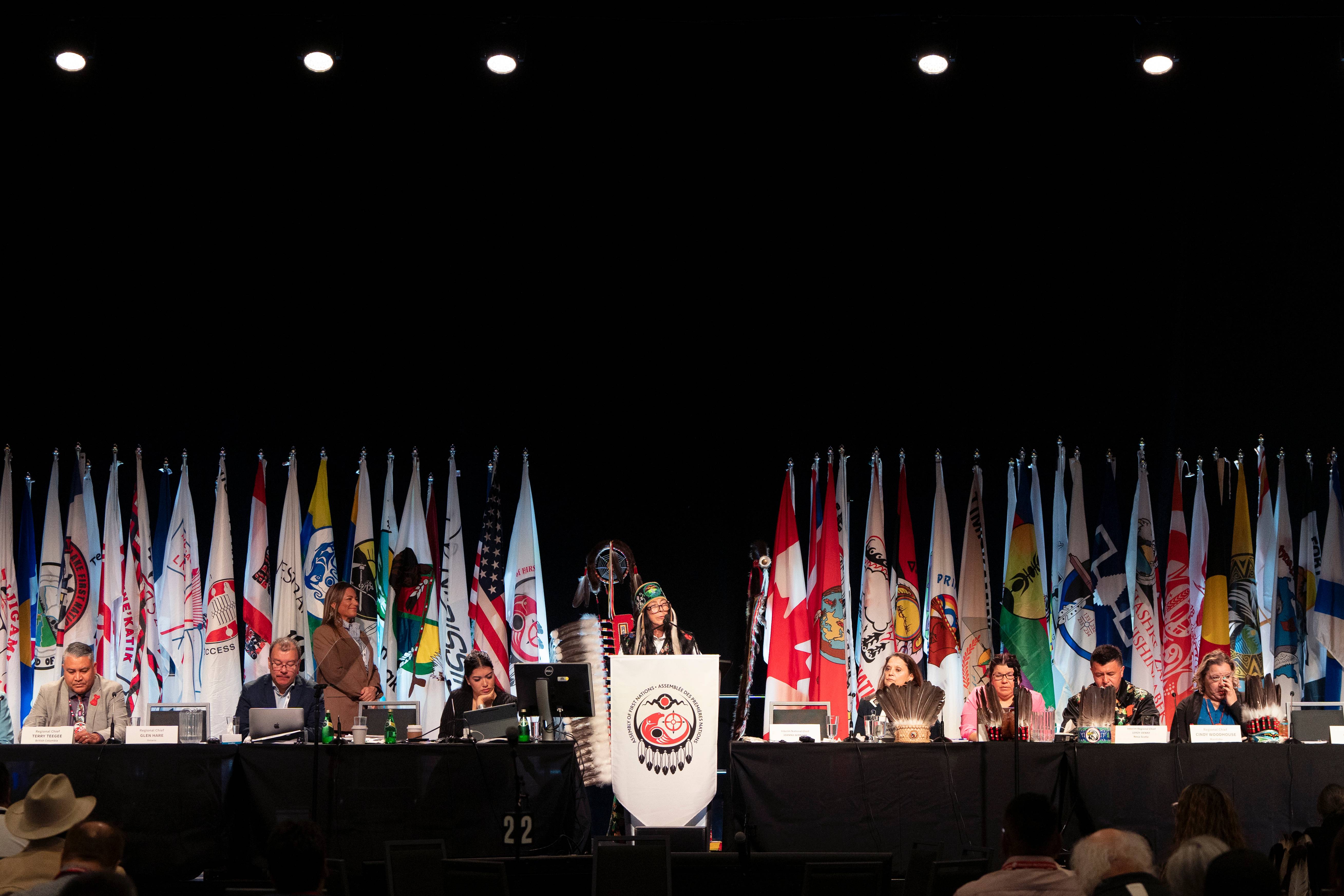 RoseAnne Archibald removed from Assembly of First Nations general assembly - Vimarsana News