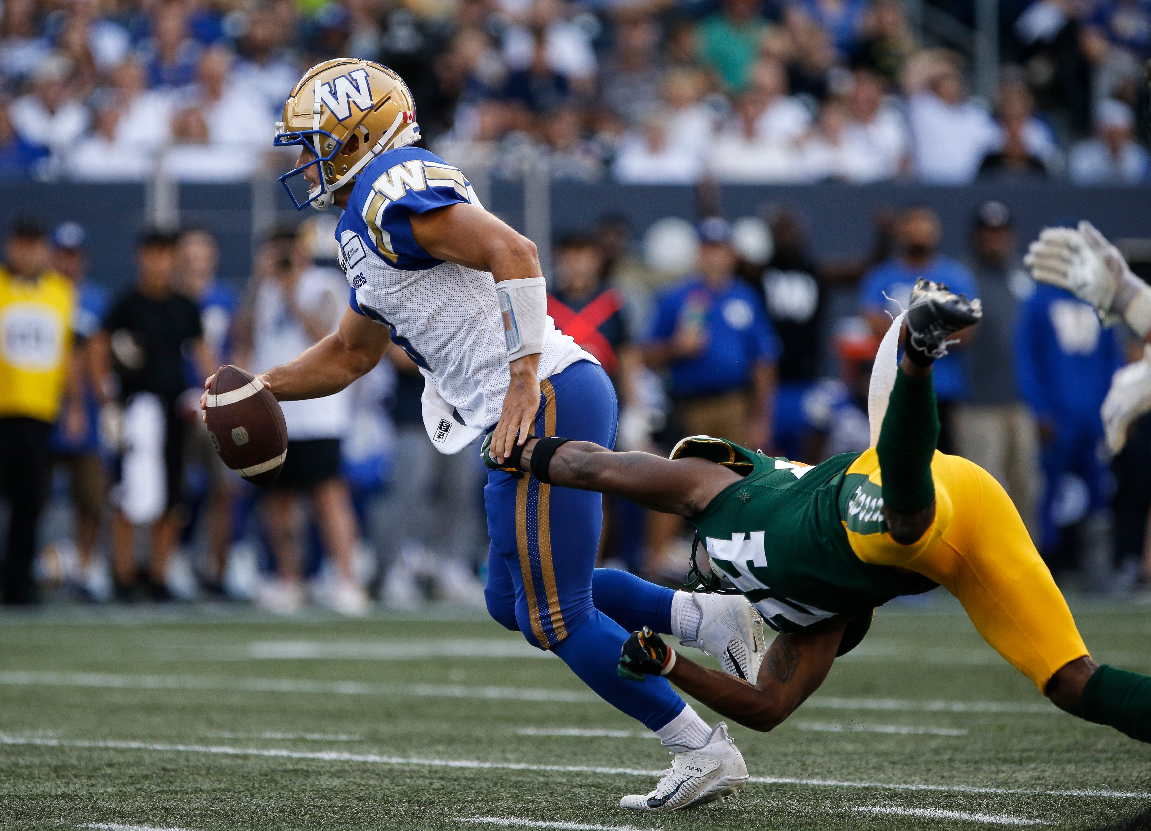 Bombers take care of business against winless Elks with 28-14 victory - Winnipeg - Vimarsana News