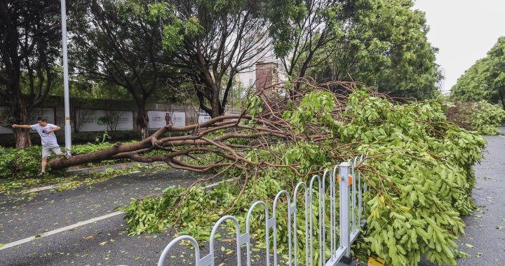 Typhoon Doksuri slams into China after killing dozens in Philippines