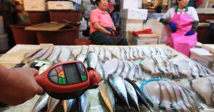 Fukushima fish riddled with radioactivity stokes fears about wastewater release plan