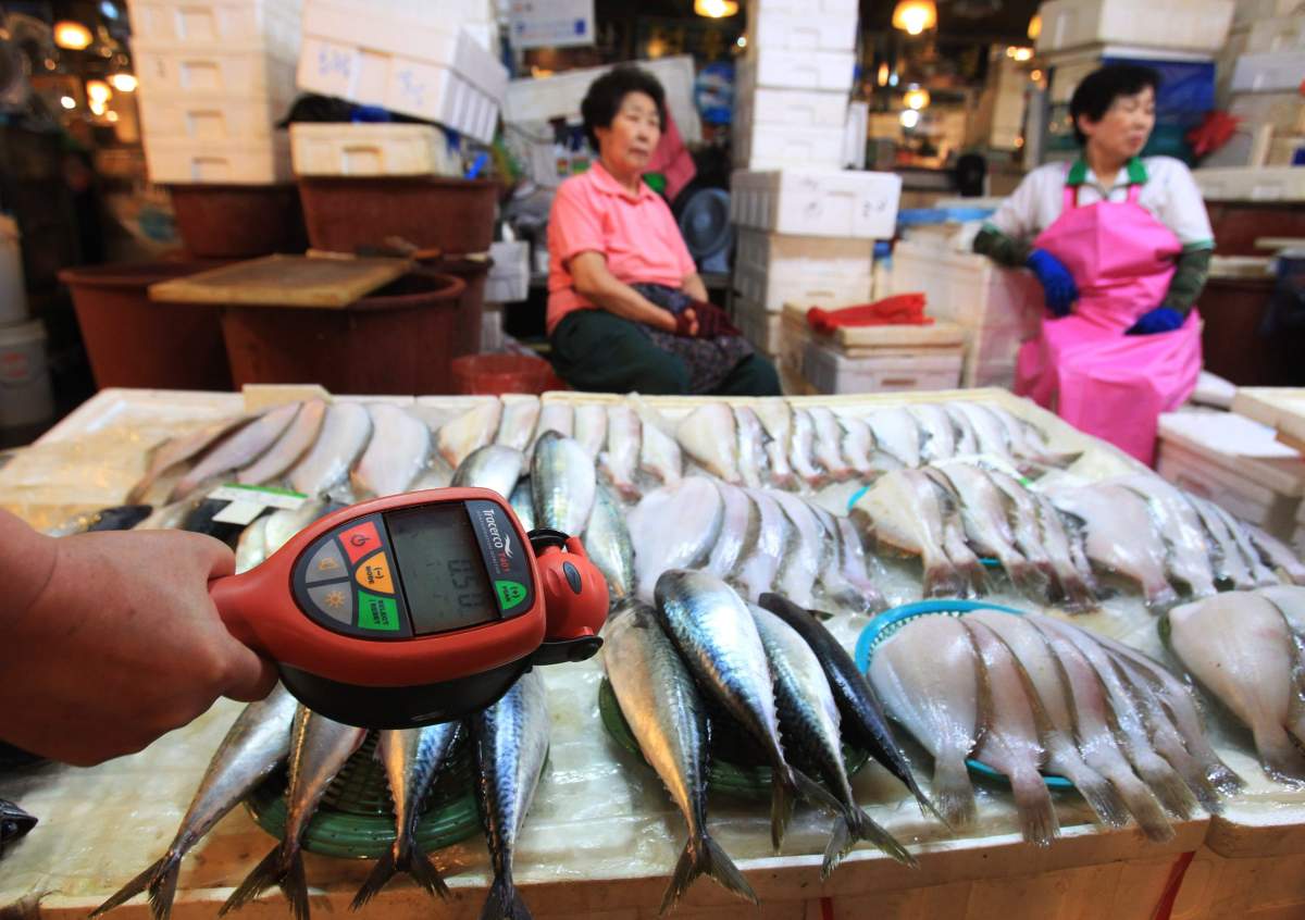 File - A worker using a Geiger counter checks for possible radioactive contamination at Noryangjin Fisheries Wholesale Market in Seoul, South Korea, Friday, Sept. 6, 2013.