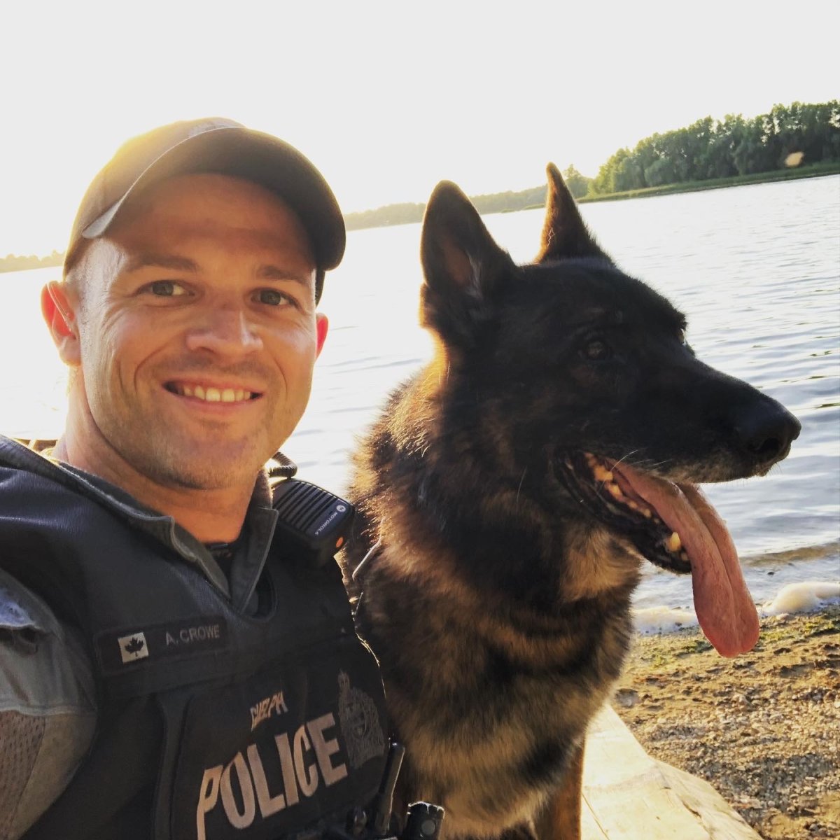 Former Guelph, Ont. police service dog passes away - image