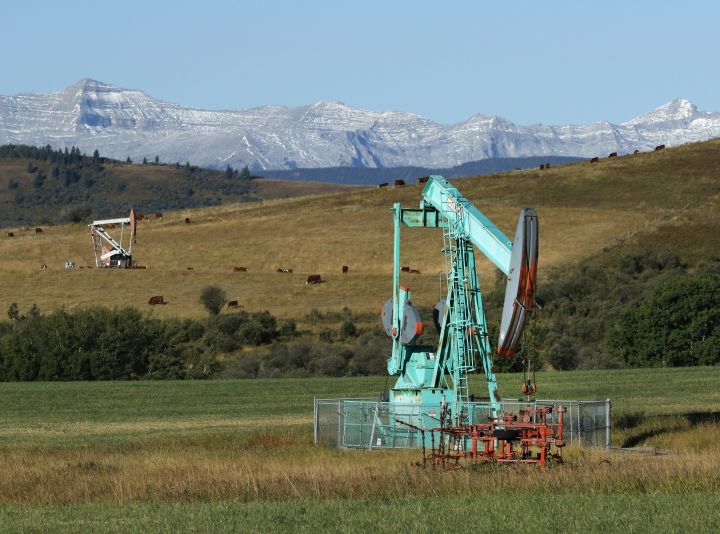 Oilfield pumpjacks, belonging to Crescent Point Energy, work producing crude and beef cattle graze in pasture near Longview, Alberta on Sept. 10, 2020. The Rocky Mountains are visible in the distance.