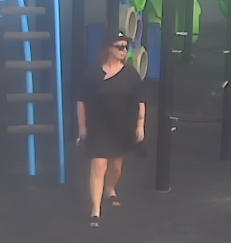 Police are looking to speak with a woman they believe distributed anti-LGBTQ material at two playgrounds in St. Albert, Alta., in June 2023.