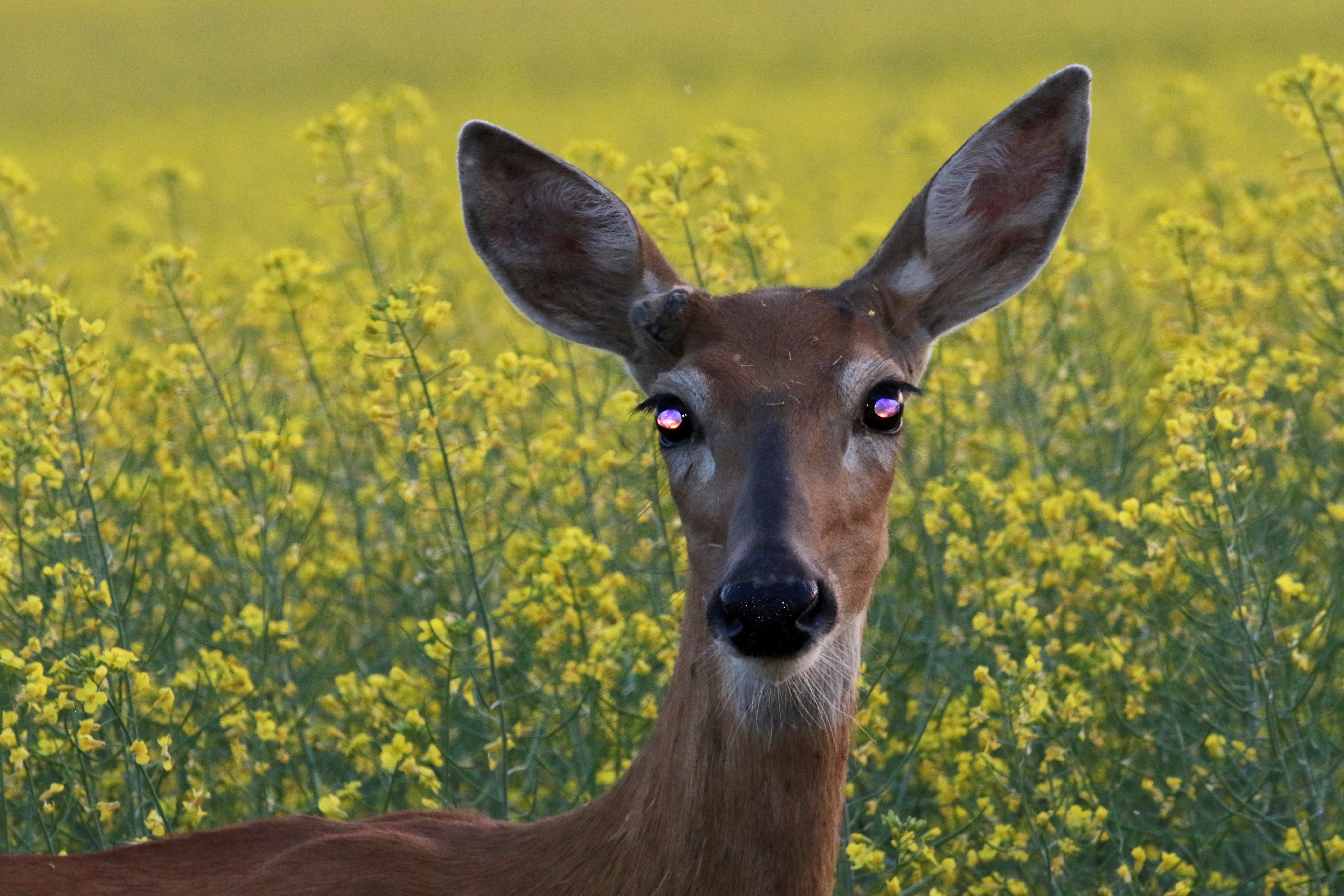 Your Saskatchewan photo of the day: July 2023