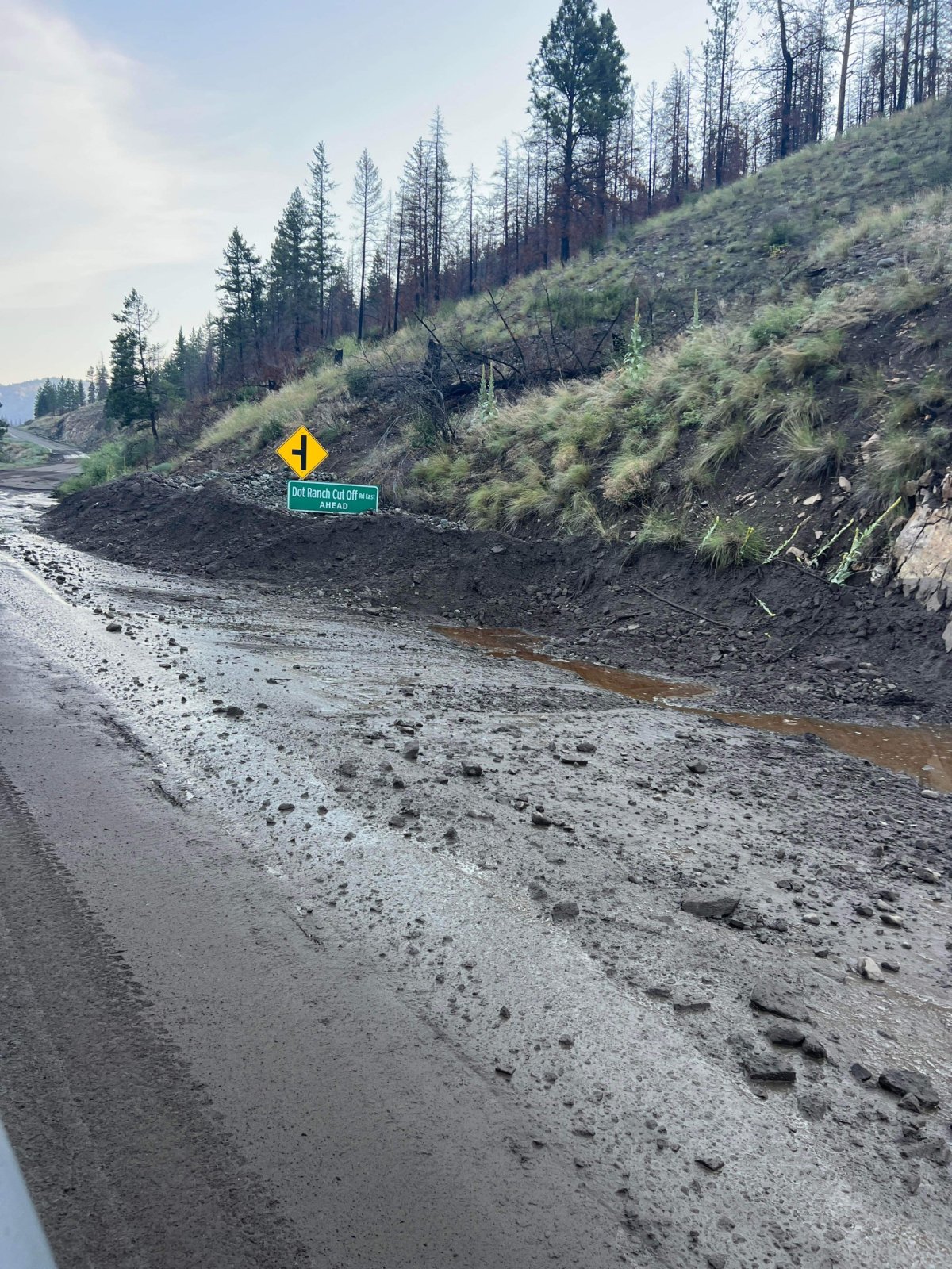 A look at the mudslides that closed Highway 8.
