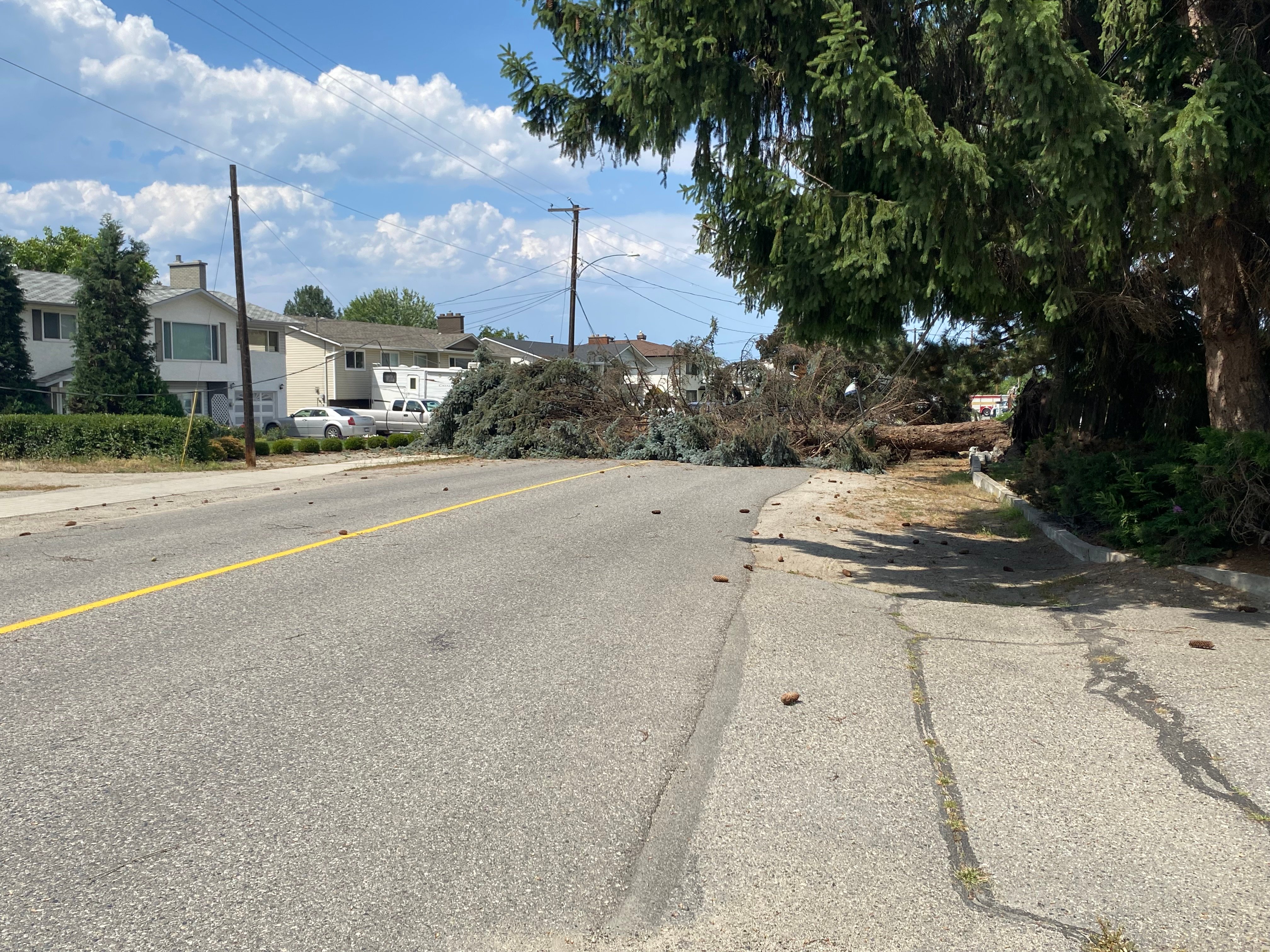 Fortis BC working to restore power for some Rutland residents after 'extreme wind' - Okanagan - Vimarsana News