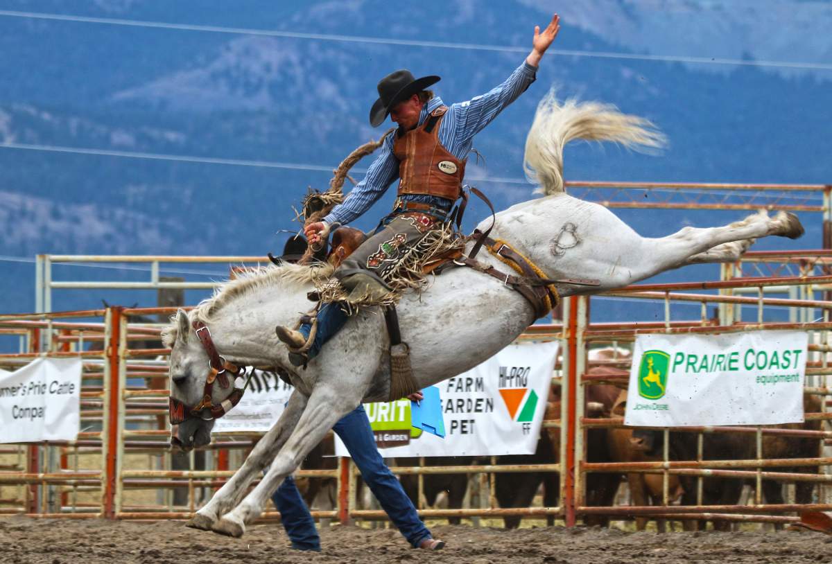 Nicola Valley Pro Rodeo - image