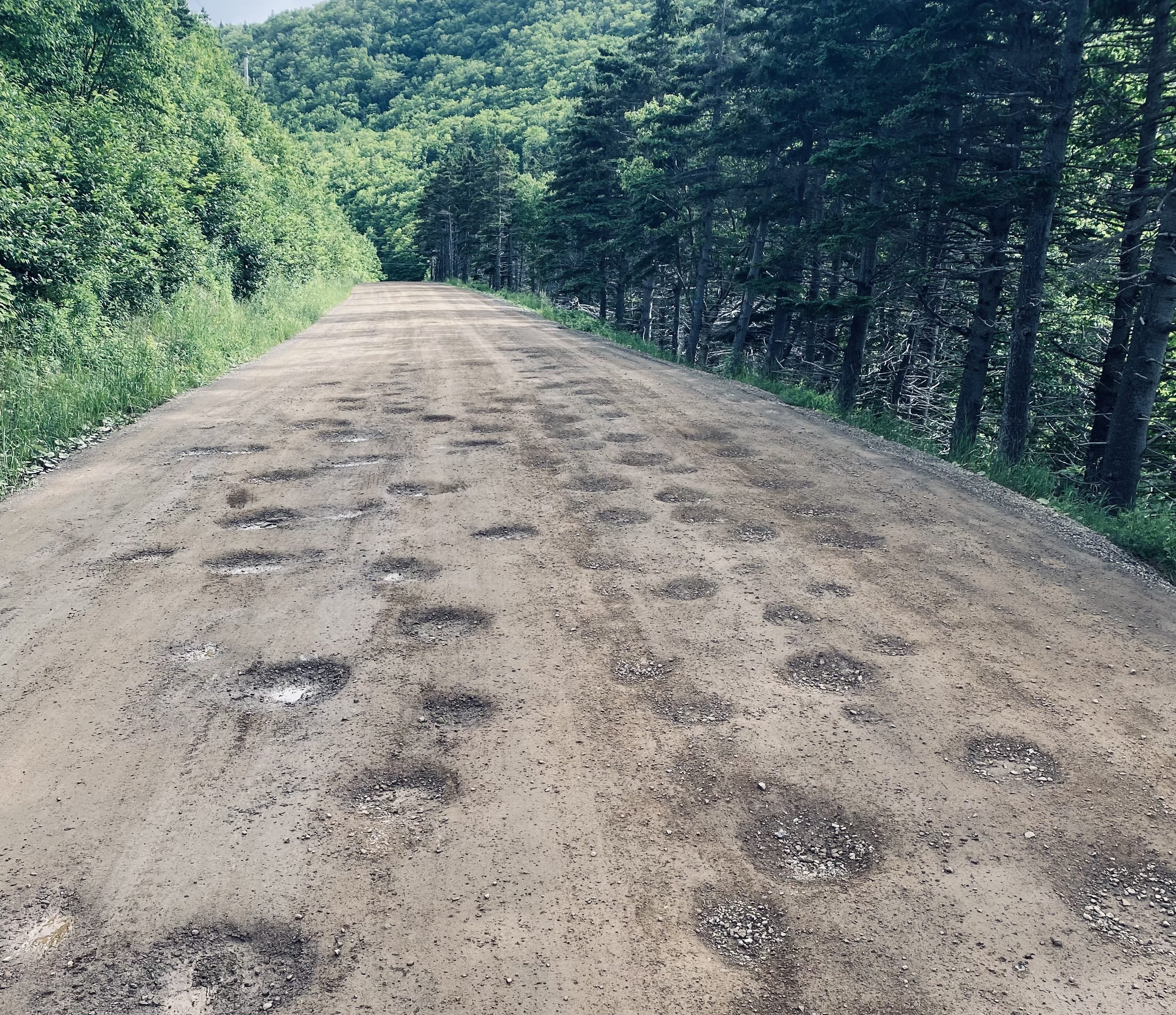 N.S. campground owner says pothole-ridden road is driving away tourists - Halifax - Vimarsana News