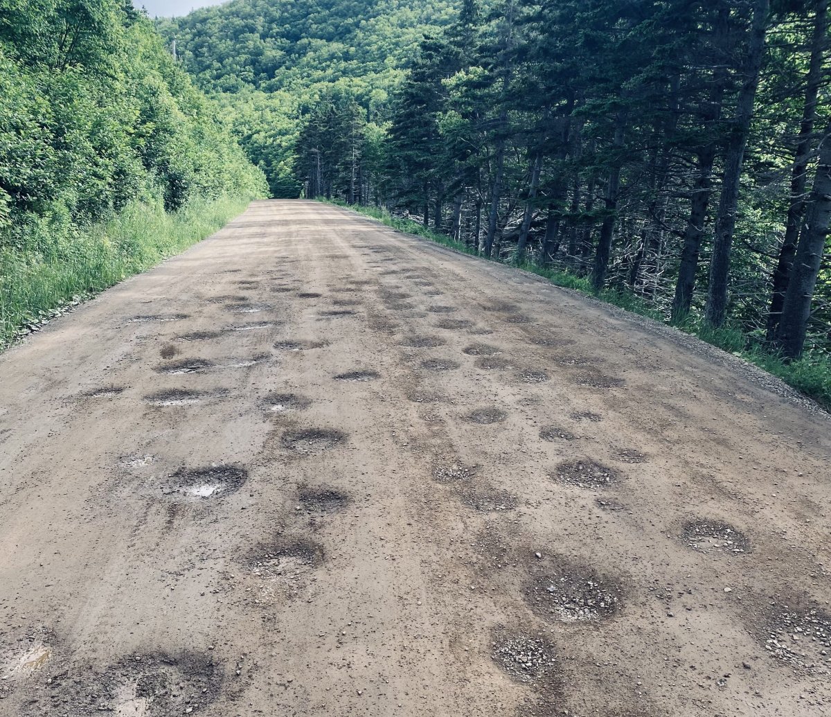 The owner of Meat Cove Campground is imploring the provincial government to fix up a four-kilometre stretch of road leading to the site, which he says is full of potholes and driving tourists away.