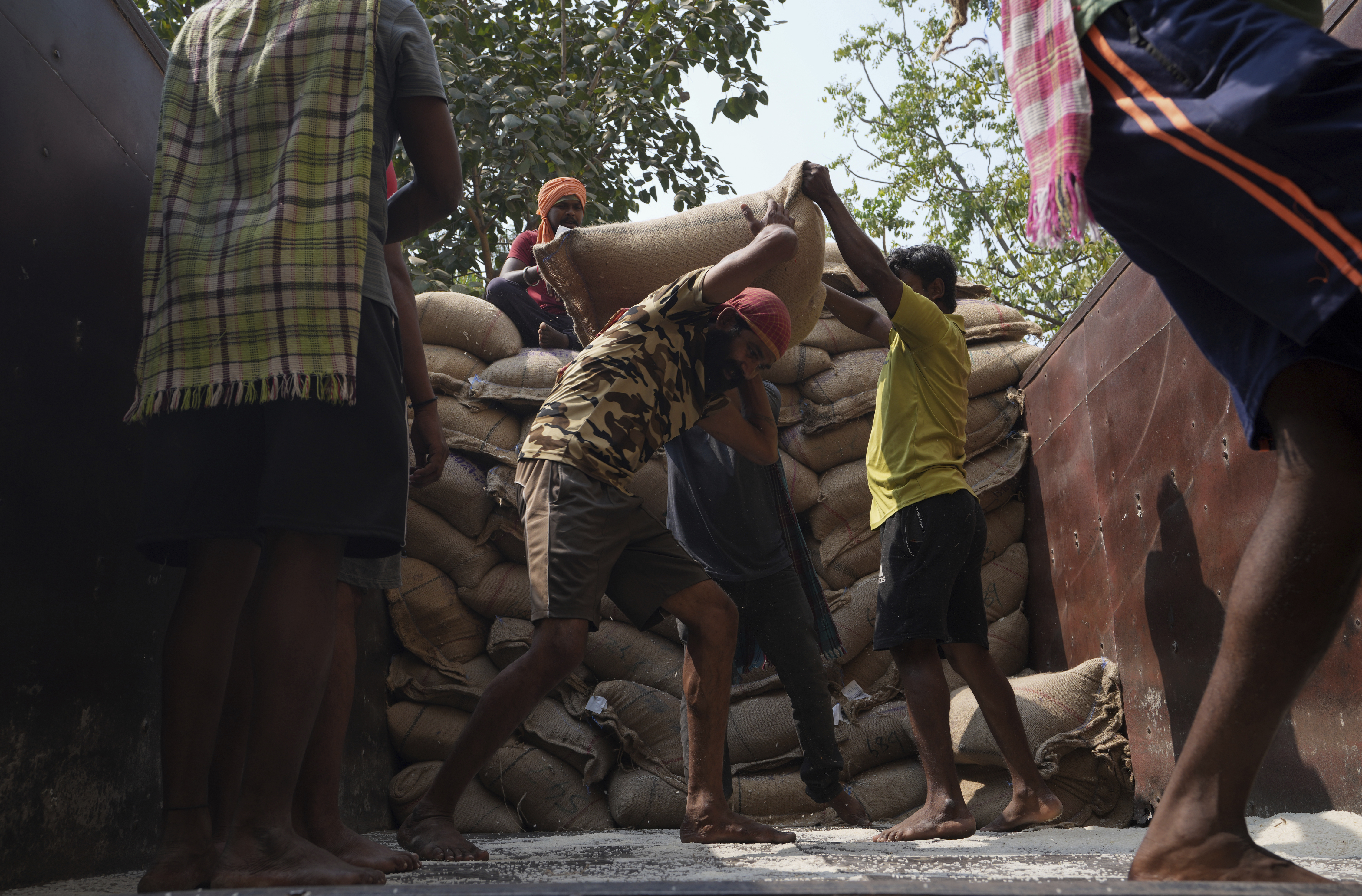 Food security at risk as India bans rice export, Russia ends Black Sea grain deal – National | 24CA News