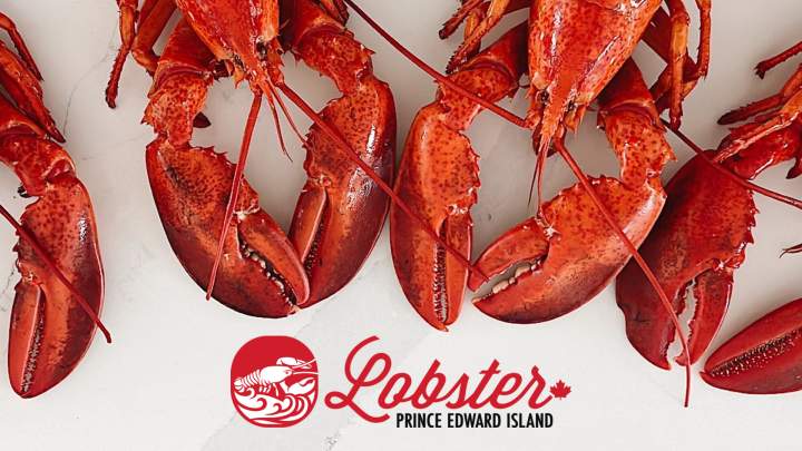 Image shows logo for Lobster PEI