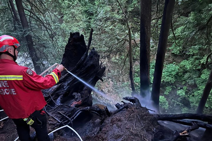 Crews knock down fire in Lynn Canyon Park as danger remains high