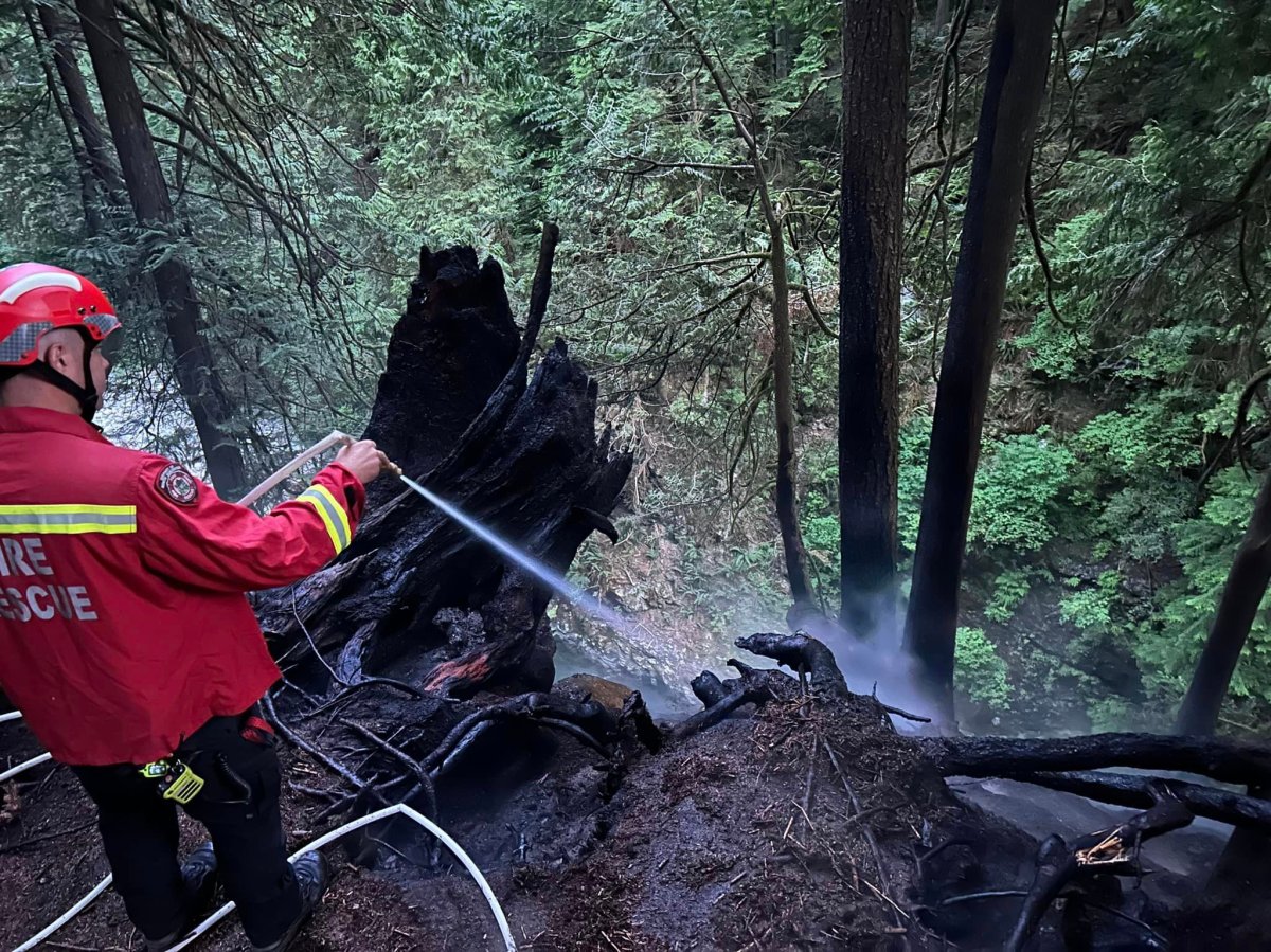 Crews with the District of North Vancouver on the scene of the fire in Lynn Canyon Park.