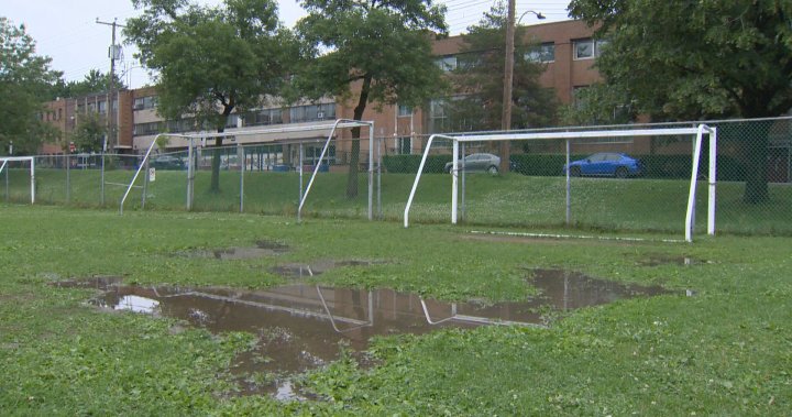 Synthetic soccer field gets the go ahead. Montreal public health now reviewing potential risks  | Globalnews.ca