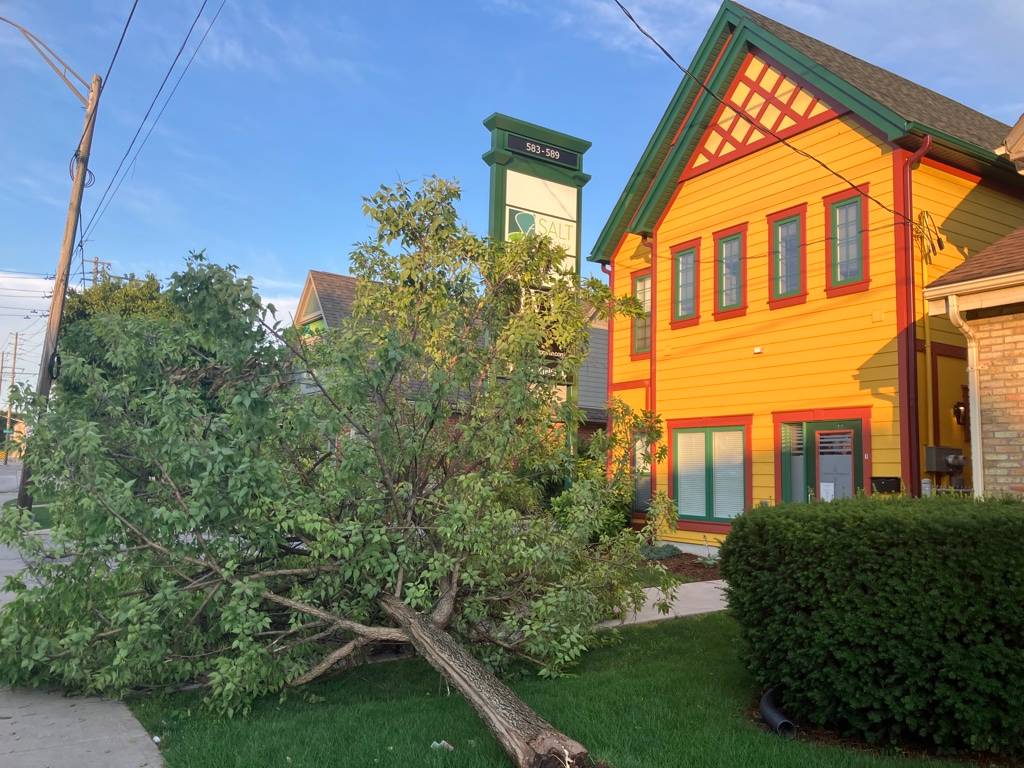 London, Ont. recovering after storm hits region - Vimarsana News