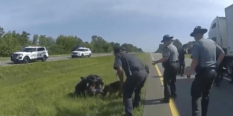 Officer fired after bodycam video shows him releasing dog on Black man