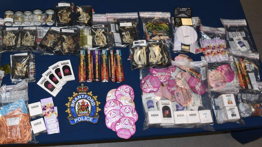 Brantford police say they shut down an illegal mushroom shop on Colborne Street July 12, 2023. Investigators also seized several edible products in the raid.