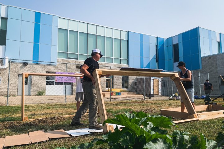Regina North Central Community Garden expands to double food output