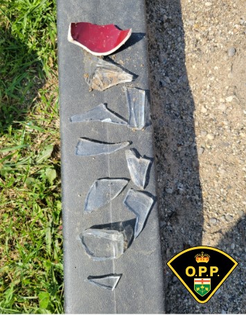 Pieces of broken glass and pottery found at a park in Fergus.