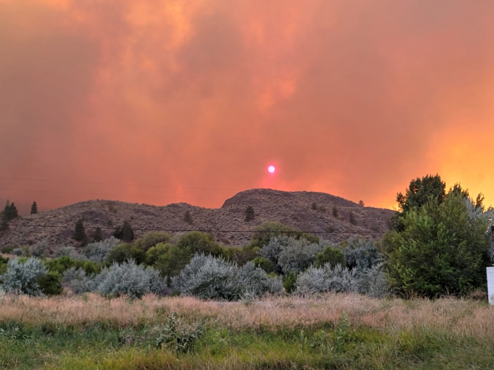 Evacuation Order Issued For Osoyoos After U.S. Wildfire Crosses Border ...