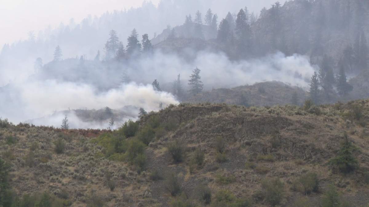 Evacuation order issued for Osoyoos after U.S. wildfire crosses border - image