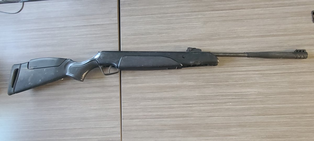 Virden RCMP seized this pellet gun connected to the incident.