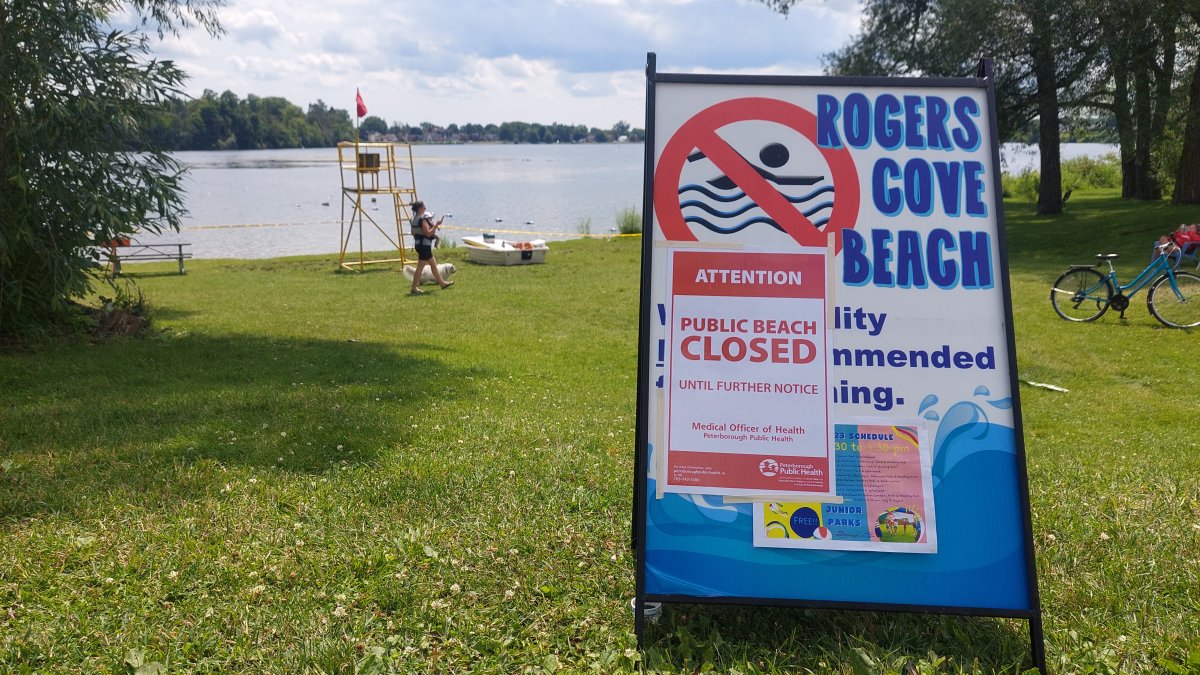 Rogers Cove beach in Peterborough, Ont., is closed again due to the reappearance of blue-green algae blooms on July 28, 2023.