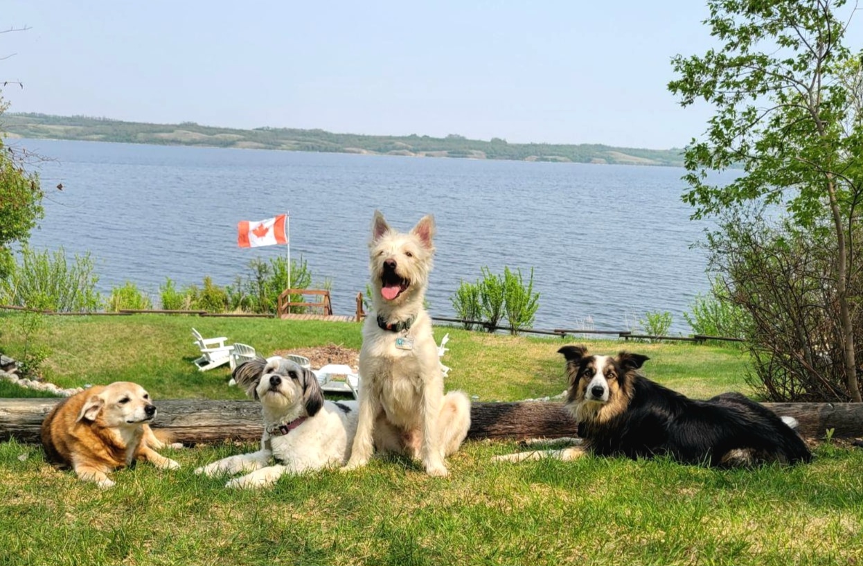 Your Saskatchewan photo of the day: July 2023  | 24CA News