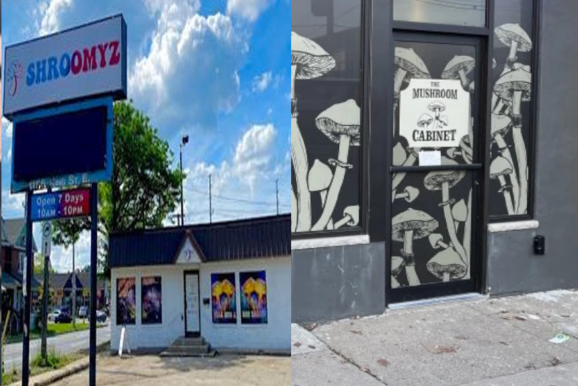Hamilton Police shut down two illegal magic mushroom shops in the city's east end on July 6, 2023.