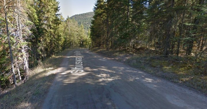 B.C. man dies in North Okanagan ATV crash