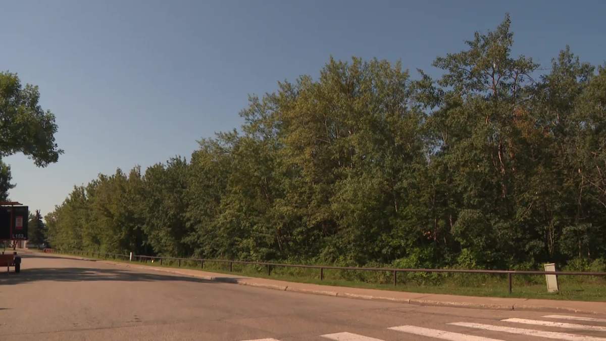 The site of the proposed location of the Strathcona County Boys and Girls Club facility beside Brentwood Elementary School in Sherwood Park.