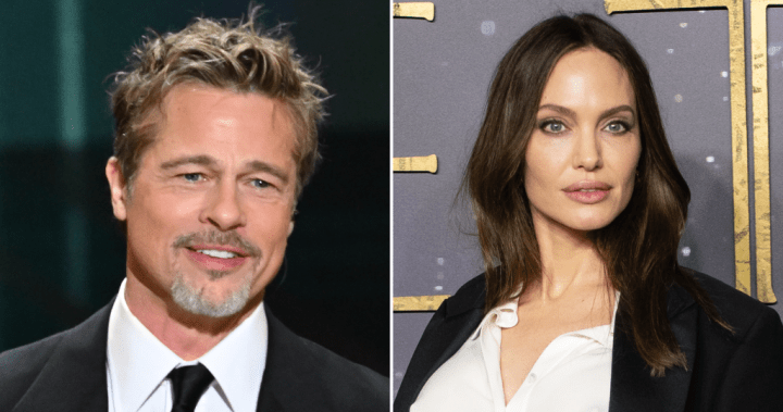 Brad Pitt accused of ‘looting’ French winery he owned with Angelina Jolie – National | Globalnews.ca