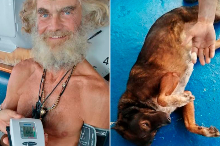 Sailor Tim Shaddock leaves dog Bella behind in Mexico after surviving months at sea - Vimarsana News