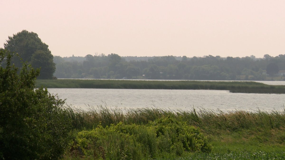 The Ontario government announced $6 million in funding for several projects aimed at Great Lakes remediation, including  money aimed at restoring the Bay of Quinte.