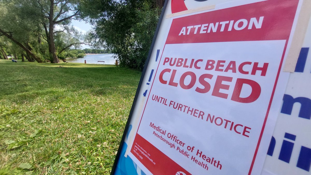 Peterborough Public Health has closed two beaches at Little Lake due to blue-green algae blooms.