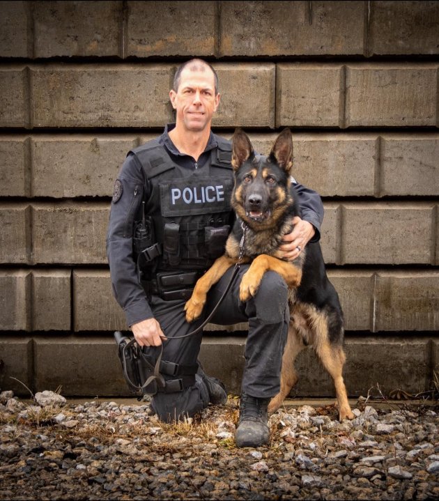 Toronto police dog named Bingo shot dead after incident involving armed ...