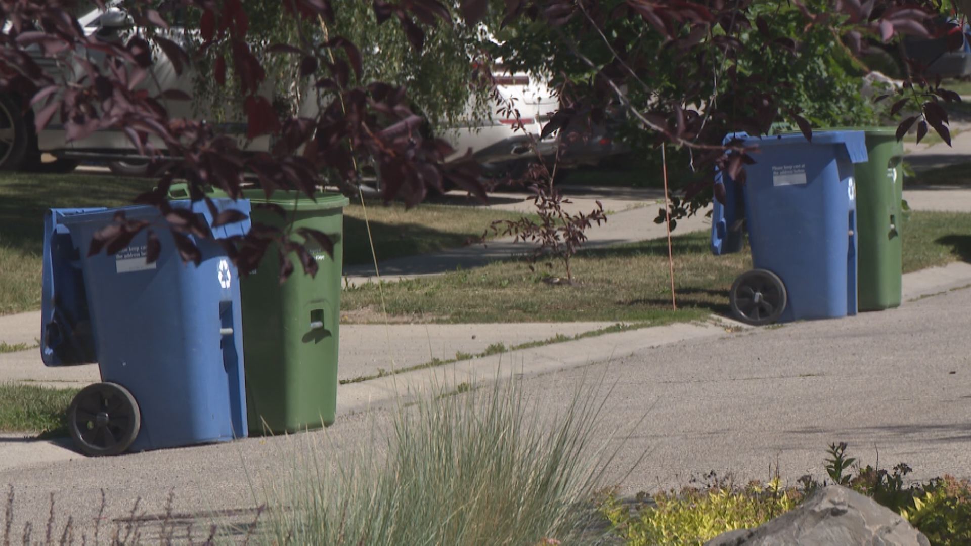 Committee endorses proposal around waste bins to prevent bear interactions in Calgary – Calgary | 24CA News