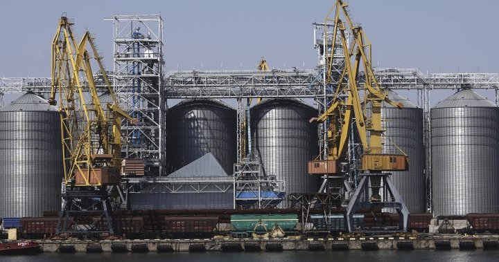 Russia targets Black Sea port after suspending Ukraine grain deal