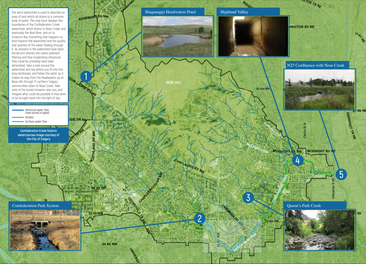 An infographic of all the buried creeks in Calgary.