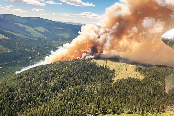 181 fires in Kamloops Fire Centre to date; Bush Creek remains largest ...