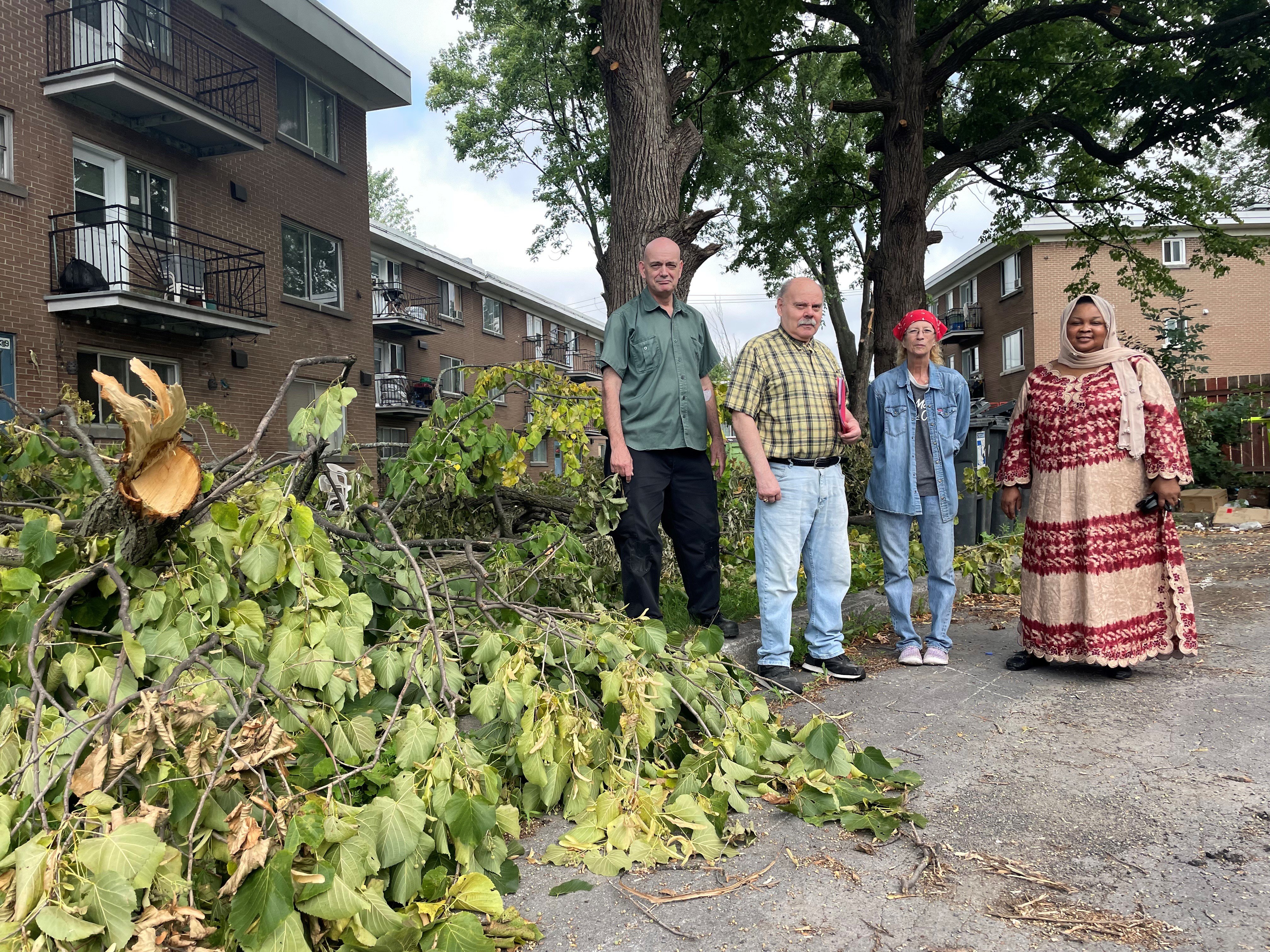 'It's a dump': Pierrefonds tenants upset about piles of branches covering backyard - Montreal - Vimarsana News