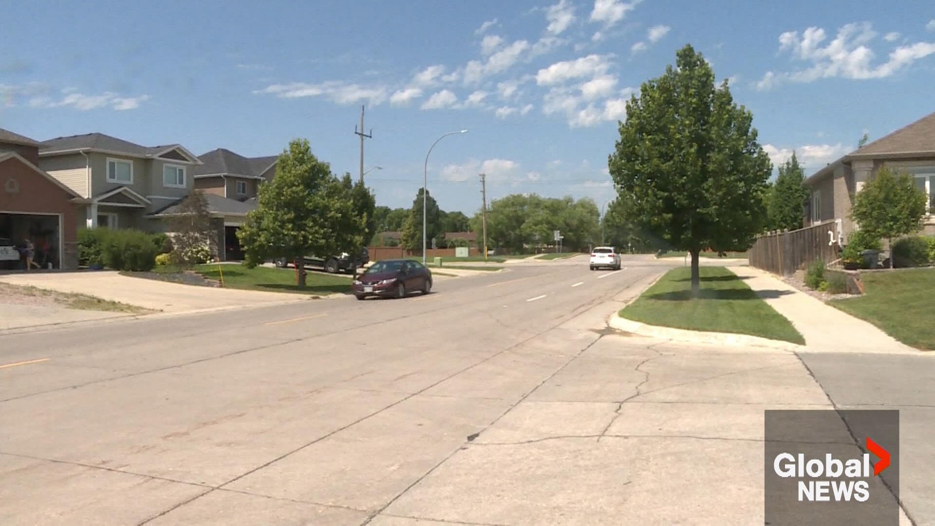 Second coyote shot in North Kildonan after attacks on children - Winnipeg - Vimarsana News
