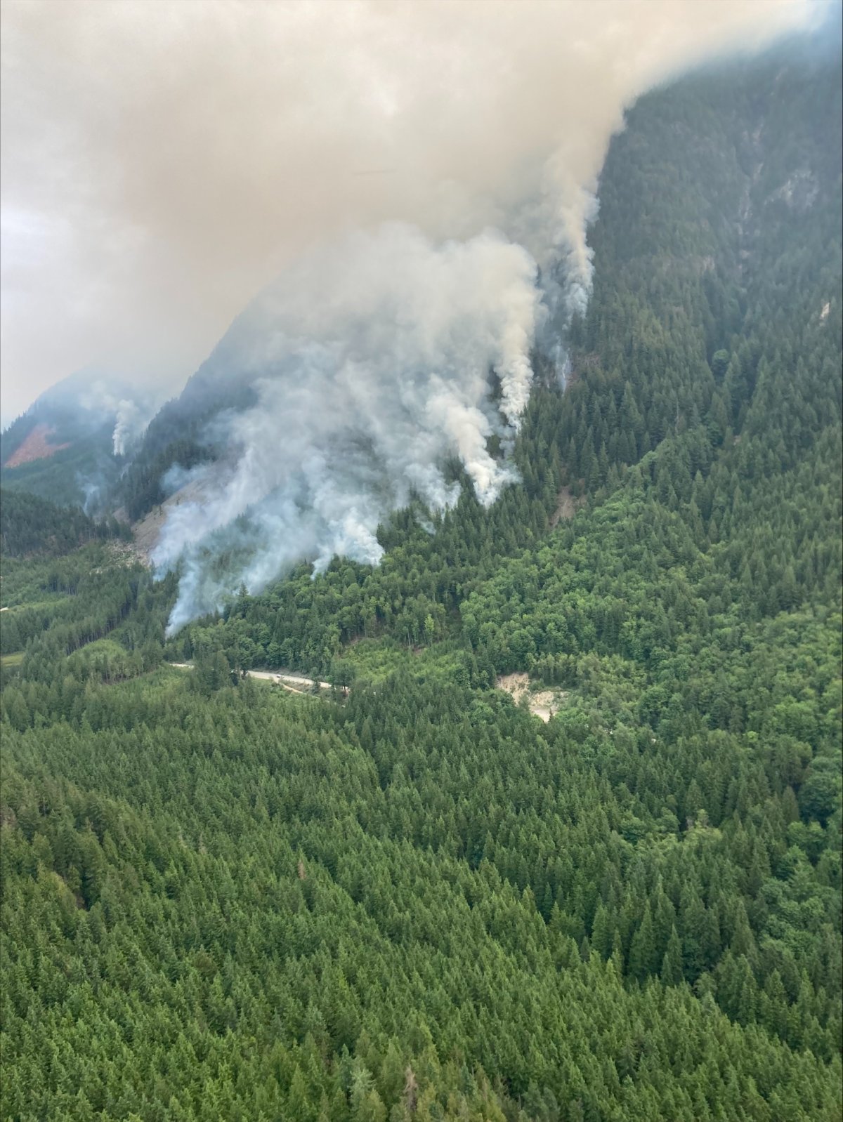 Crews battling 38hectare outofcontrol wildfire north of Abbotsford